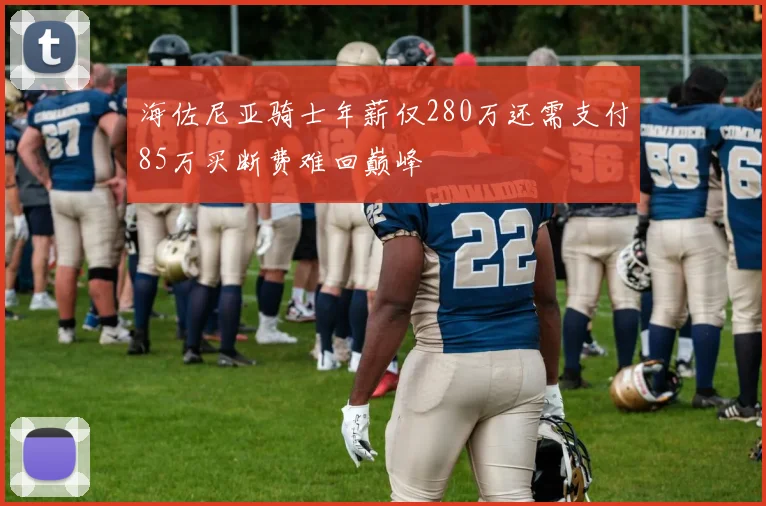 海佐尼亚骑士年薪仅280万还需支付85万买断费难回巅峰