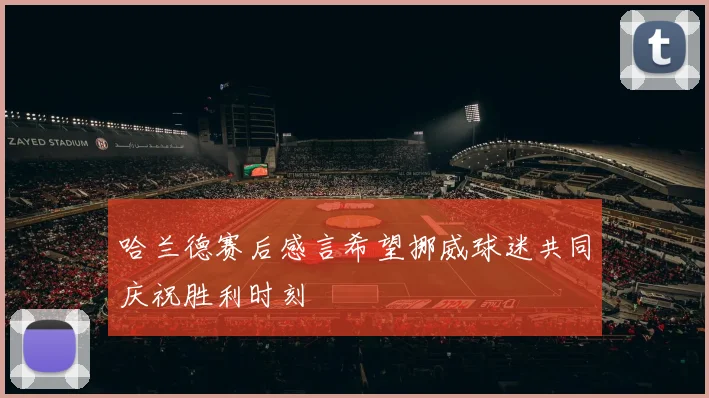 哈兰德赛后感言希望挪威球迷共同庆祝胜利时刻